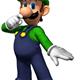 luigi676
