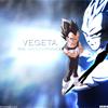 DBZ Vegeta