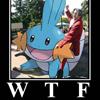 WTF