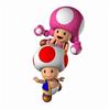 toad and toadette