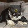 Bat Dog