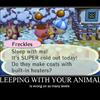 Sleeping with your animals