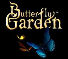 Butterfly Garden