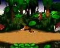 donkey kong country glitch