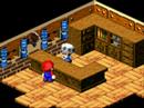 Mario Shops!