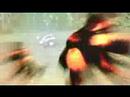 Wii Video