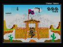 Wii Video