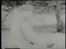 LSD test