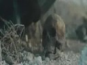 Terminator 4 trailer - Terminator Salvation
