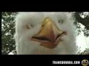 Eagle Man Commercial