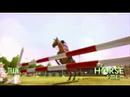 Wii Video