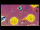 Newest Super Mario Galaxy Trailer Wii