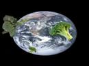 Broccoli In Space