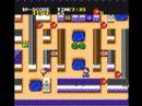 Cratermaze (TurboGrafx-16)