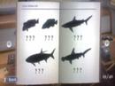 endless ocean sea creatures that are yet to be discovered...