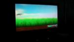 Wii 