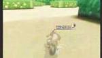Retro Peach Gardens 2:04:297*