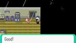 Wii Video - Pokemon Emerald-My first pokemon hack