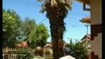 Tree Removal Fail