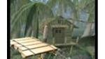 Kongo Jungle - History Behind Super Smash Bros. Melee