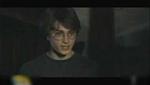Gay Harry Potter