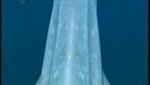 Endless Ocean - Ancient Mother and Blue Whale
