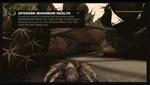 Deadly Creatures Wii Footage