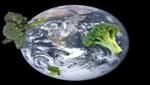 Wii Video - Broccoli In Space
